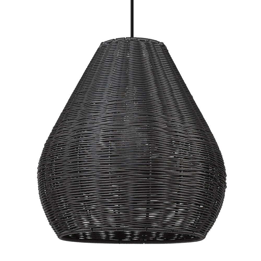 Wry Lighting Melany 1-light Outdoor Pendant in Natural Black